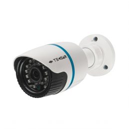IP-видеокамера Tecsar IPW-M20-F20-poe